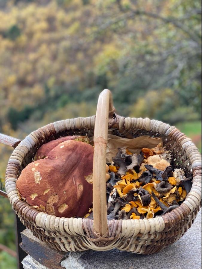 Domaine Le Verdier Saint-Michel-de-Dèze Eksteriør billede